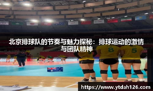 北京排球队的节奏与魅力探秘：排球运动的激情与团队精神