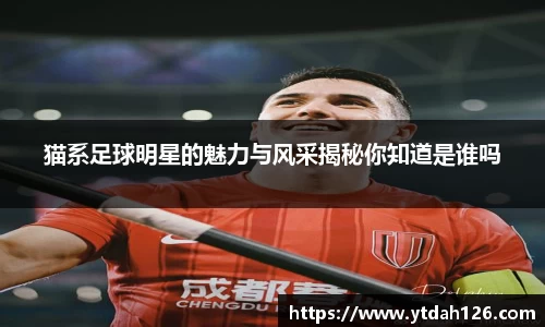 猫系足球明星的魅力与风采揭秘你知道是谁吗
